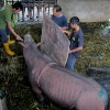 puntung-5-puntung-being-coaxed-onto-weighing-scales-26-dec-2011