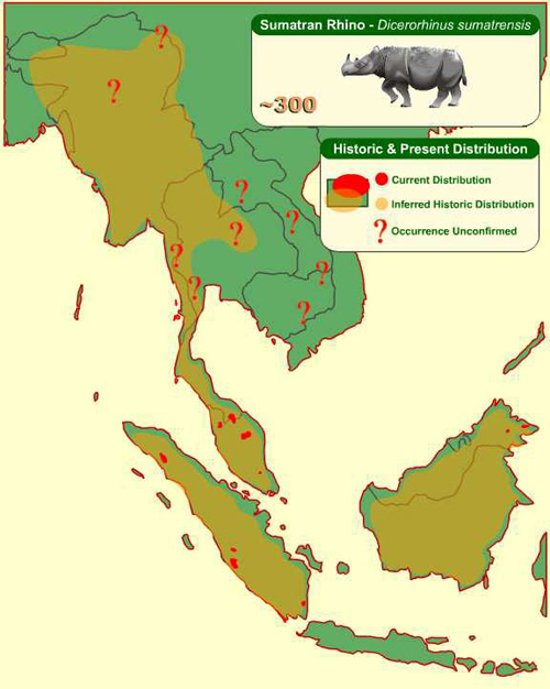 Historic distribution of the Sumatran rhino is Southeast Asia. From the International Rhino Foundation (IRF)