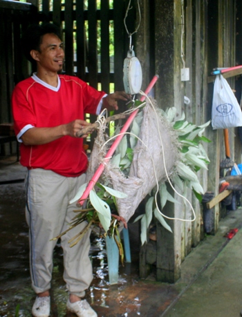 Mangabay 10 rhino_192