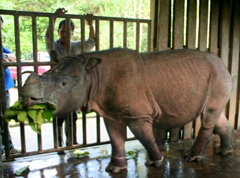 Mongabay 8 rhino_087