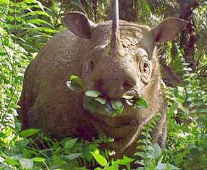 News Reprieve 01rhino