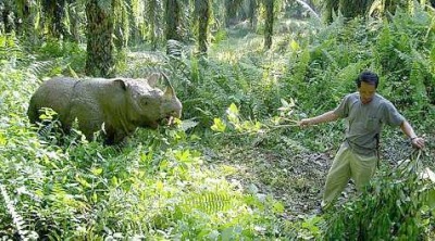 News The Star_02rhino