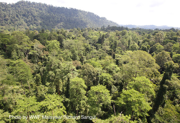 Tabin aerial view by DVJ (2)