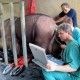 Animal care: Veterinarians Dr Hildebrand, Dr Robert Hermes and Borneo Rhinoceros Alliance’s Dr Zainal Abdul Hamid (standing) doing an ultrasound on Puntung.