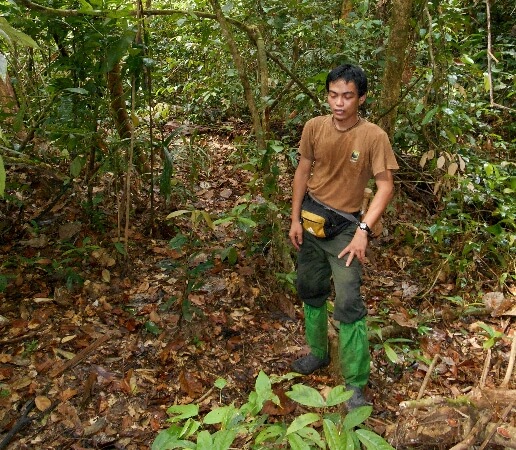 rsz The same rhino trap in September 2013 (invisible)
