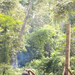 BORA in action