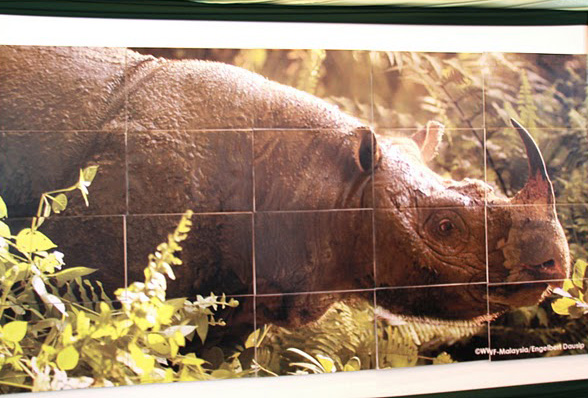 Rhino Rescue Lunch 2009