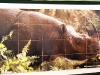 Rhino Rescue Lunch 2009